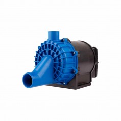 Motobomba para hidromassagem 2 hp Super Syllent - MB42E0216AS Motobomba para hidromassagem 2 hp Super Syllent - MB42E0216AS